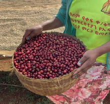 ETHIOPIA Guji Alaka FILTER