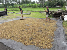 INDONESIA Bali Kintamani Karana FILTER