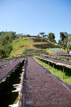 ETHIOPIA Gara Agena FILTER
