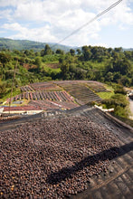 ETHIOPIA Gara Agena FILTER