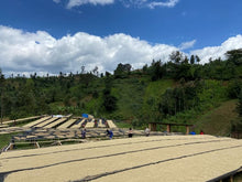 RWANDA Gishamwana Island FILTER