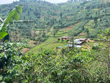 RWANDA Gitwe Nyamasheke ESPRESSO