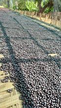 ETHIOPIA Sidamo Shafeta ESPRESSO