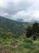COLOMBIA Popayan Tacueyo ESPRESSO